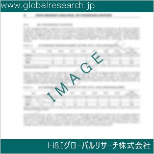 グローバルリサーチ調査資料のイメージ
